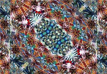 《终焉之玛格诺利亚：终结的玉兰花》EA版3月25日发售 预告发布